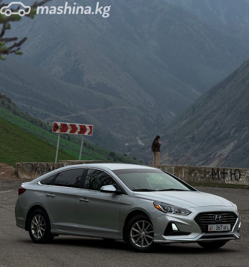 Hyundai Sonata VII (LF) Рестайлинг фото номер 1