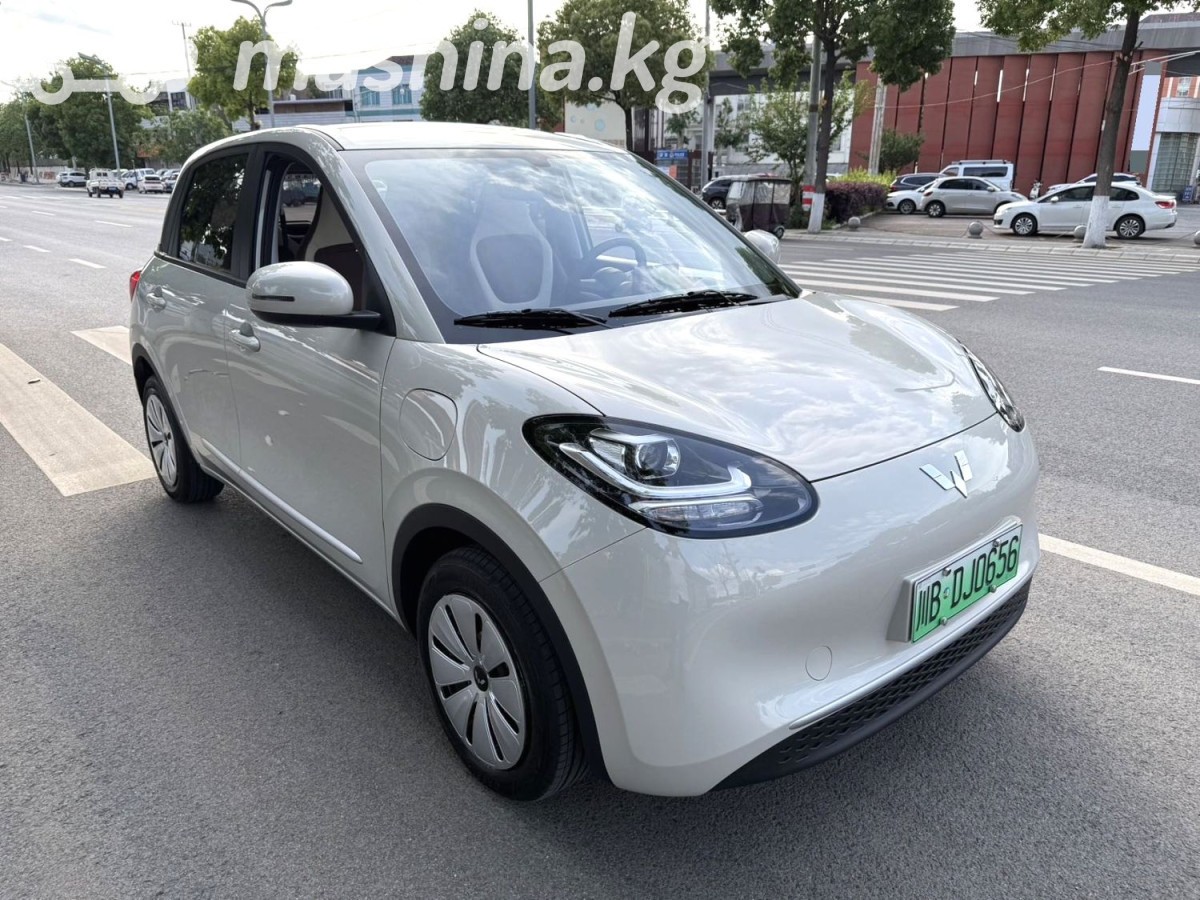 Wuling Binguo