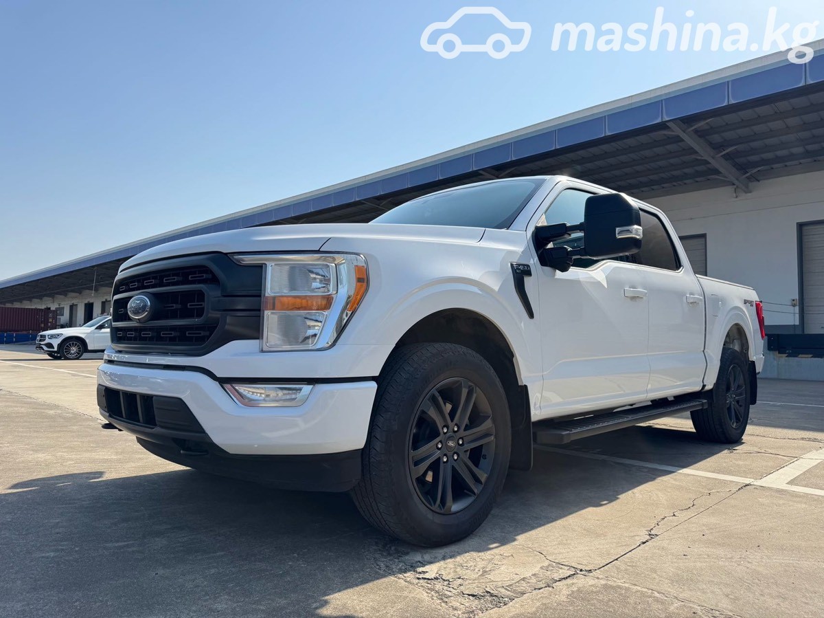 Ford F-150 XIV фото номер 1
