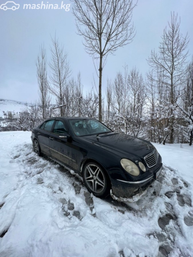 Mercedes-Benz E-Класс III (W211, S211) фото номер 1
