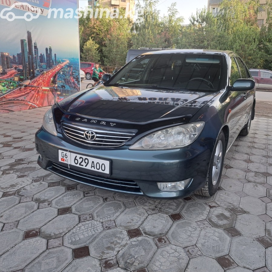 Toyota Camry V (XV30) фото номер 6